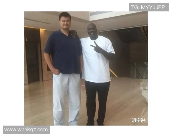 在球场上与姚明相遇的那些年我们共同见证的篮球传奇与青春回忆